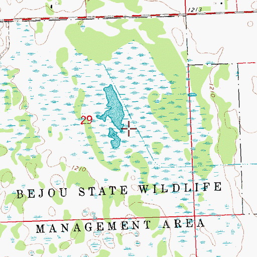 Topographic Map of Frog Lake, MN