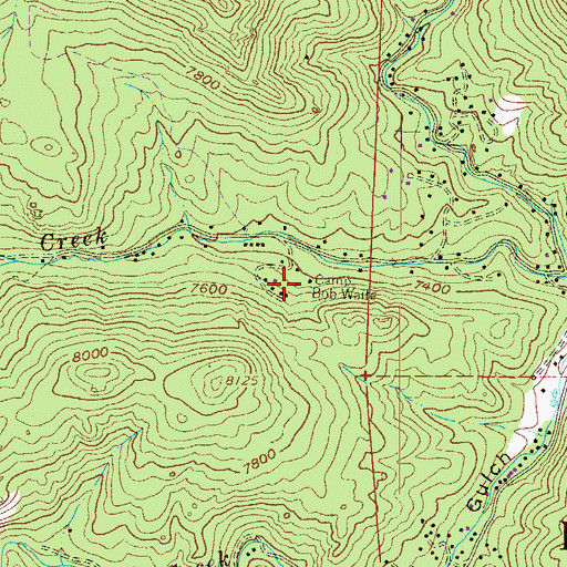 Topographic Map of Camp Bob Waite, CO