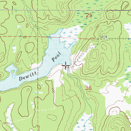 Topographic Map of Dewitt Pool Dam, MN