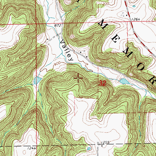 Topographic Map of Little Trout Detention Number 1 Dam, MN