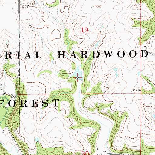 Topographic Map of L Myers Dam, MN