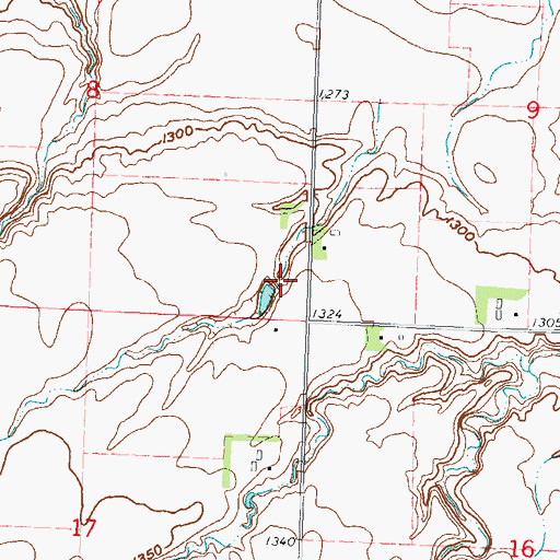 Topographic Map of Runholt-Mellenthin Dam, MN