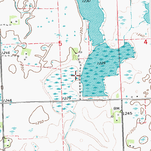 Topographic Map of Rassom Lake, MN