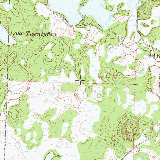 Topographic Map of Gary Lehman Dam, MN