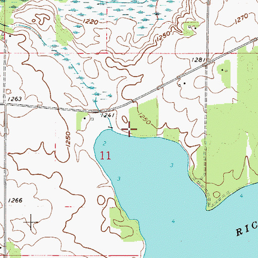 Topographic Map of Rice Lake Dam, MN