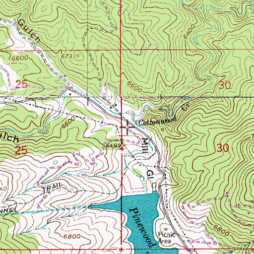 Topographic Map of Skinner Gulch, CO