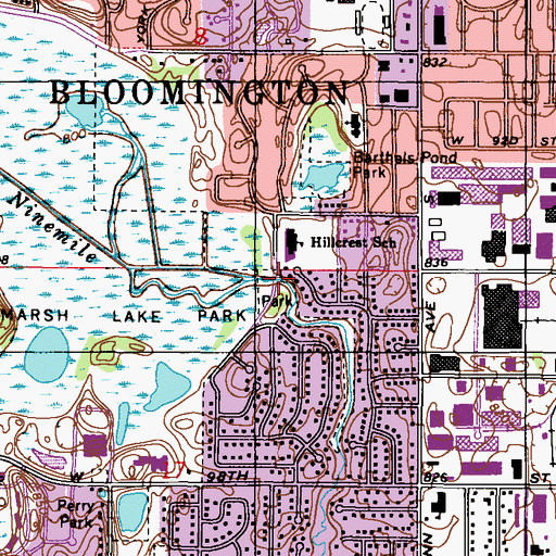 Topographic Map of Marsh Lake, MN