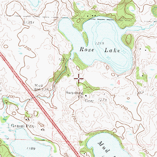Topographic Map of Rose Lake, MN