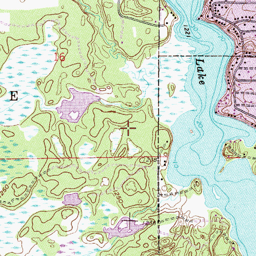 Topographic Map of Loon Lake Township Dam, MN