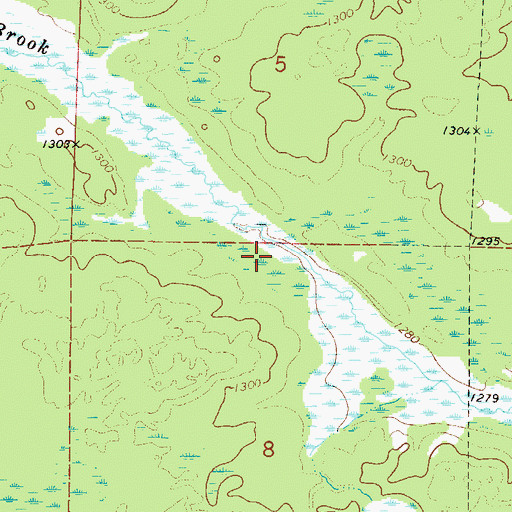 Topographic Map of Dam Brook, MN