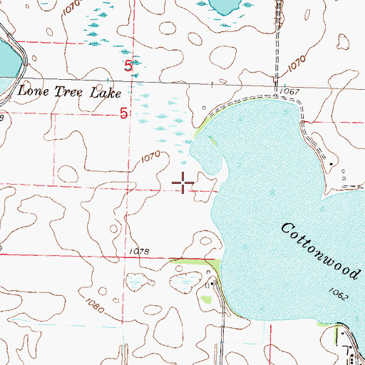 Topographic Map of Cottonwood Lake, MN