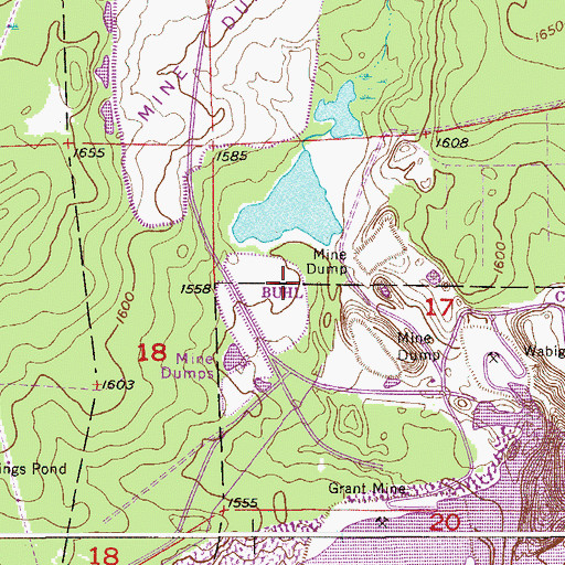 Topographic Map of Wabigone Tailings Dike, MN