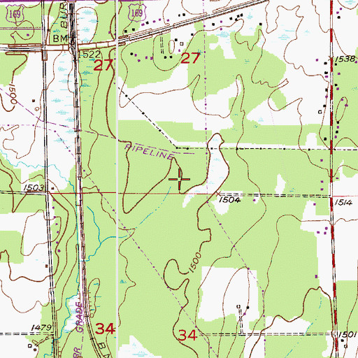 Topographic Map of Mesabi Chief Tailings Basin Three, MN