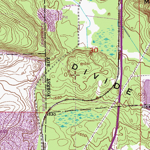 Topographic Map of Plant Site Settling Dike, MN