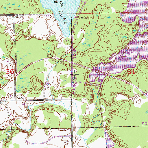 Topographic Map of West Two Rivers Dam, MN