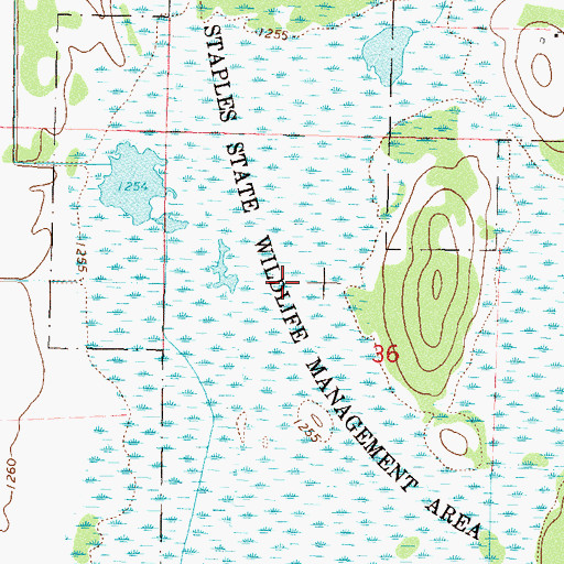 Topographic Map of Staples Wildlife Management Area Dam, MN