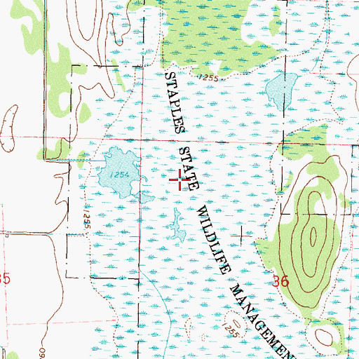 Topographic Map of Rice Lake, MN