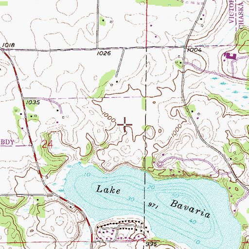 Topographic Map of Ray Buesgens Wildlife Pond Dam, MN