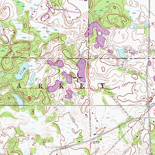 Topographic Map of Wallace Henry Pond Dam, MN
