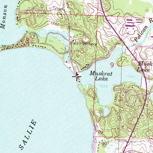 Topographic Map of Muskrat Lake Locks and Dam, MN