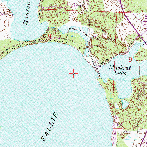 Topographic Map of Muskrat Lake, MN
