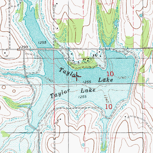 Topographic Map of Taylor Lake, OK