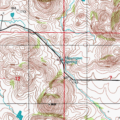 Topographic Map of Hourigan Spring, OK