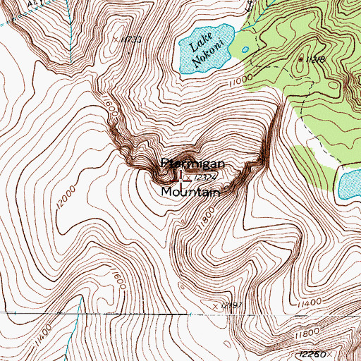 Topographic Map of Ptarmigan Mountain, CO
