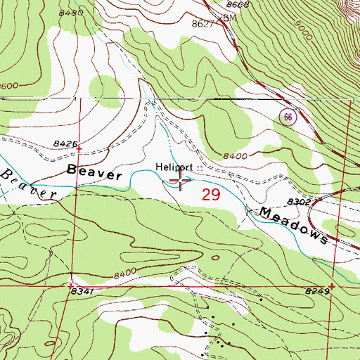 Topographic Map of Beaver Meadows, CO