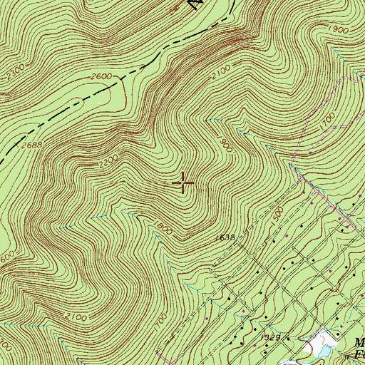Topographic Map of Double Ridge, VA
