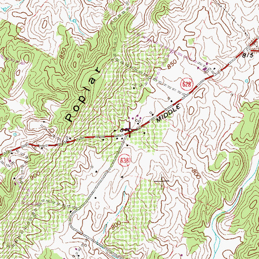 Topographic Map of Poplar Ridge, VA