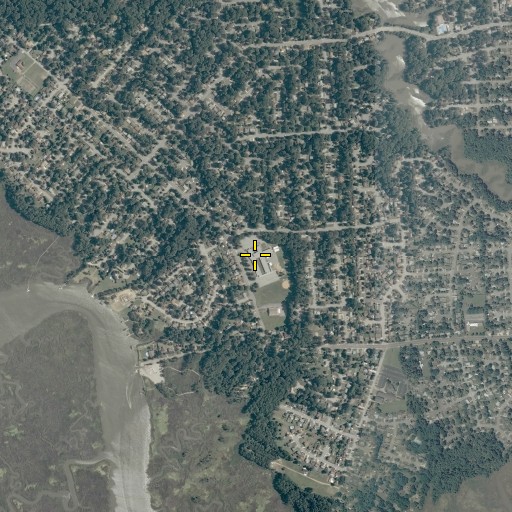 Aerial/Satellite Image of Nelson Elementary School, VA