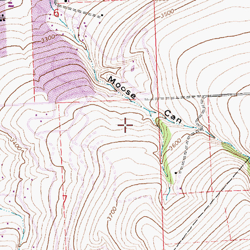 Topographic Map of Christian and Missionary Alliance Church, MT