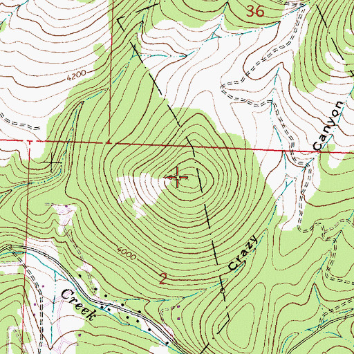 Topographic Map of Ginny Mountain, MT
