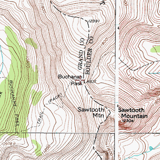 Topographic Map of Buchanan Pass, CO