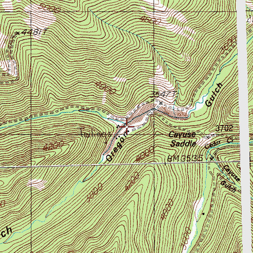 Topographic Map of Cedar Junction (historical), MT