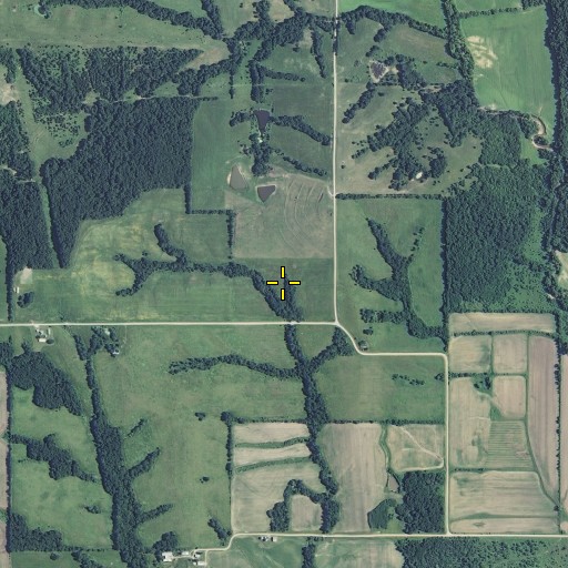Aerial/Satellite Image of Union Cemetery, MO