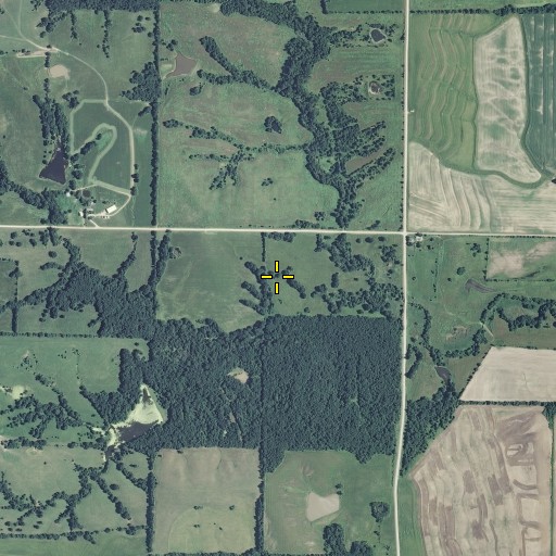 Aerial/Satellite Image of Miller Cemetery, MO