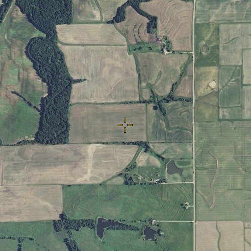 Aerial/Satellite Image of Skinner Cemetery, MO