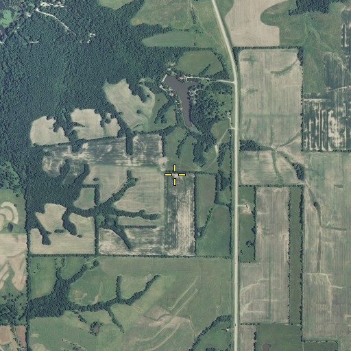 Aerial/Satellite Image of Robert Peery Cemetery, MO