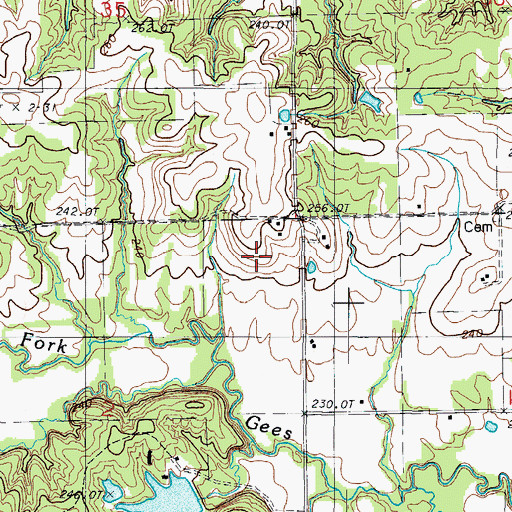Topographic Map of Davis Cemetery, MO