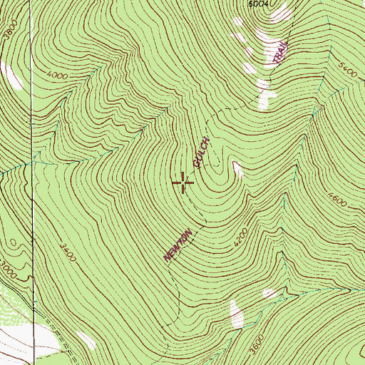 Topographic Map of Newton Gulch Trail, MT