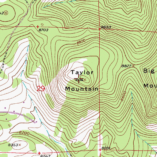 Topographic Map of Taylor Mountain, CO