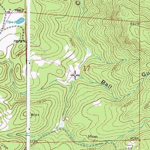 Topographic Map of Ball Gulch, CO