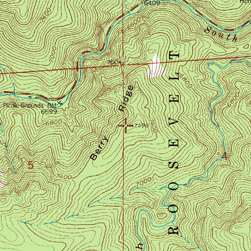 Topographic Map of Berry Ridge, CO