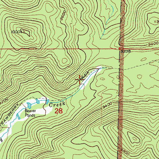 Topographic Map of Strawberry Trail, CO