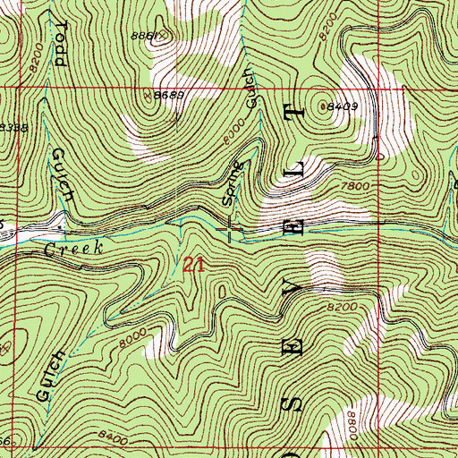 Topographic Map of Spring Gulch, CO