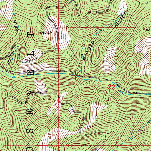 Topographic Map of Potato Gulch, CO