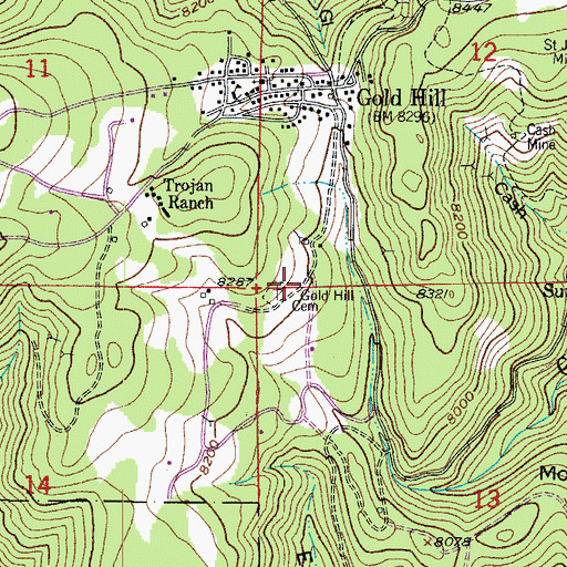 Topographic Map of Gold Hill Cemetery, CO