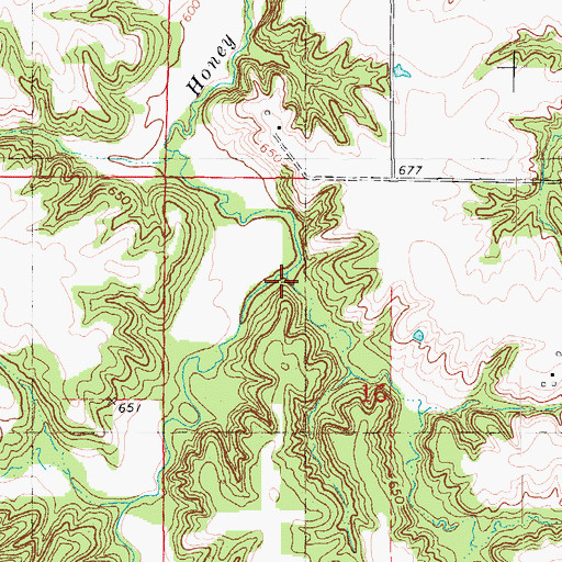 Topographic Map of Hog Branch, IL